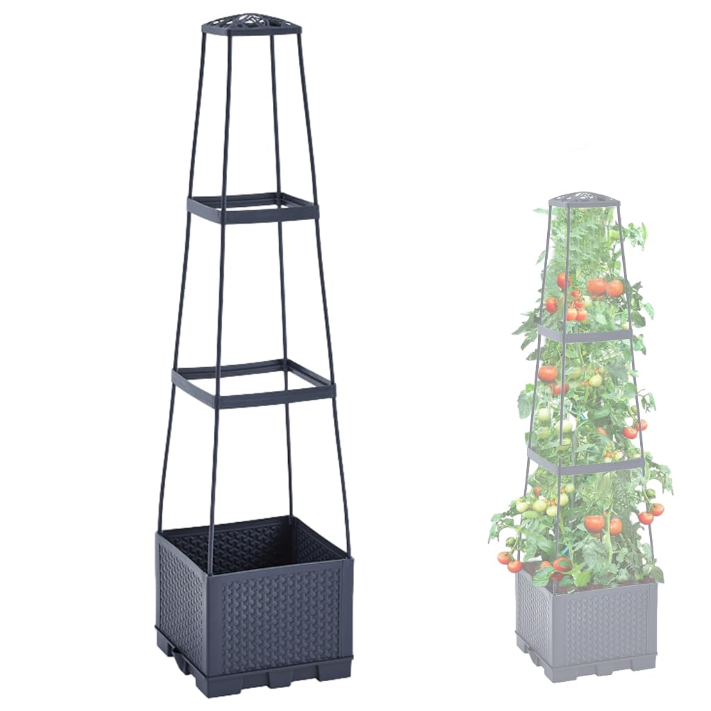 HASTHIP Planter Box for Twining Plants, Clinging Plants, Tendril Plants, Climbing Vegetables, Vegetables Pots for Home Garden with Draining Holes & Trellis HASTHIP Planter Box for Twining Plants, Clinging Plants, Tendril Plants, Climbing Vegetables, Vegetables Pots for Home Garden with Draining Holes & Trellis